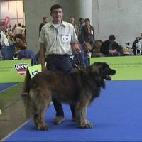 Salzburg Clubschau Mai 06 049 